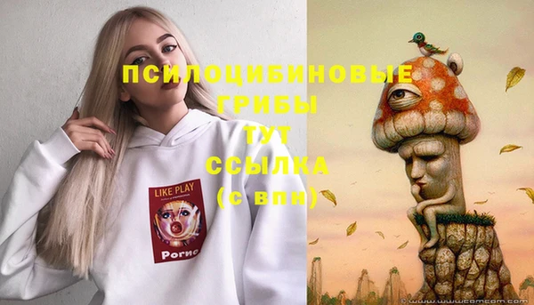 ГАЛЛЮЦИНОГЕННЫЕ ГРИБЫ Алексеевка
