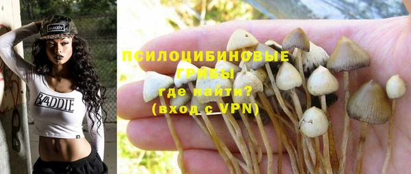 мяу мяу мука Алзамай