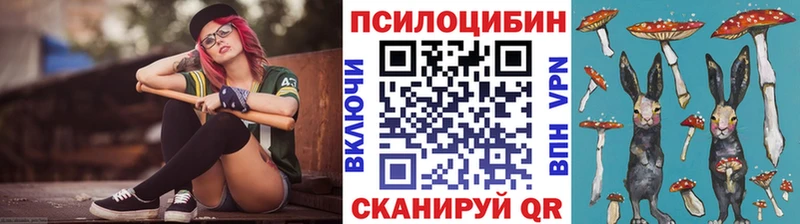 блэк спрут вход  наркотики  Звенигово  Галлюциногенные грибы мухоморы 